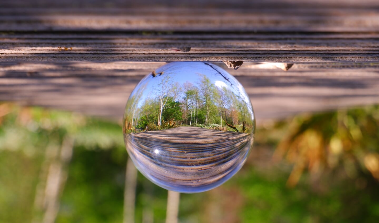 Lensbal: soms staat de tijd even stil en staat alles ondersteboven.