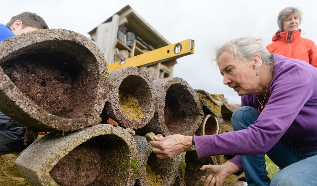 Bouwen van een een bijenhotel en insecten-steilwand door Zeist Zoemt Duurzaam bij kinderboerderij De Brink.