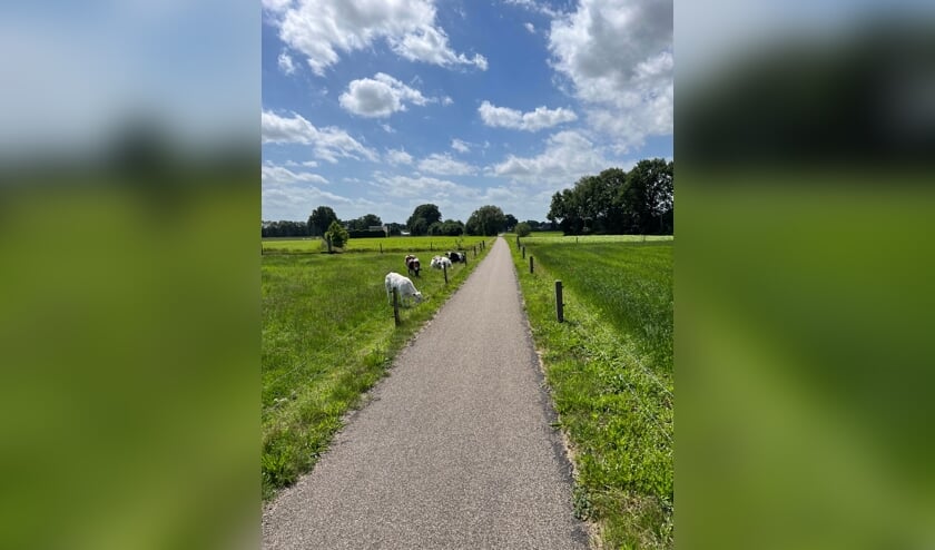 ,,Tijdens één van mijn fietstochten heb ik een foto gemaakt van een stuk grasland met enkele koeien en kalveren. Juist vanwege de discussies rondom het het boerenbedrijfsleven raakte dit beeld mij meer dan anders."