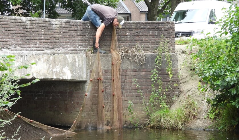 Onderzoeker Stein Honders plaatst een keernet onder de brug bij de Woudseweg.