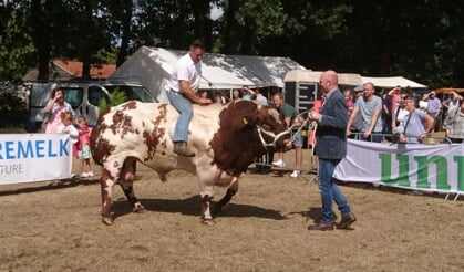 Afbeelding