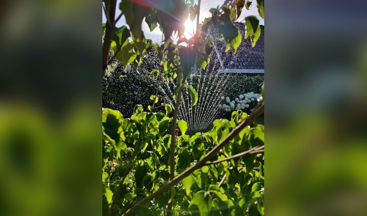 Zomers samenspel van zon, water en groen. G. Liefting: ,,Foto is gemaakt in onze tuin op zaterdagavond 16 juli.