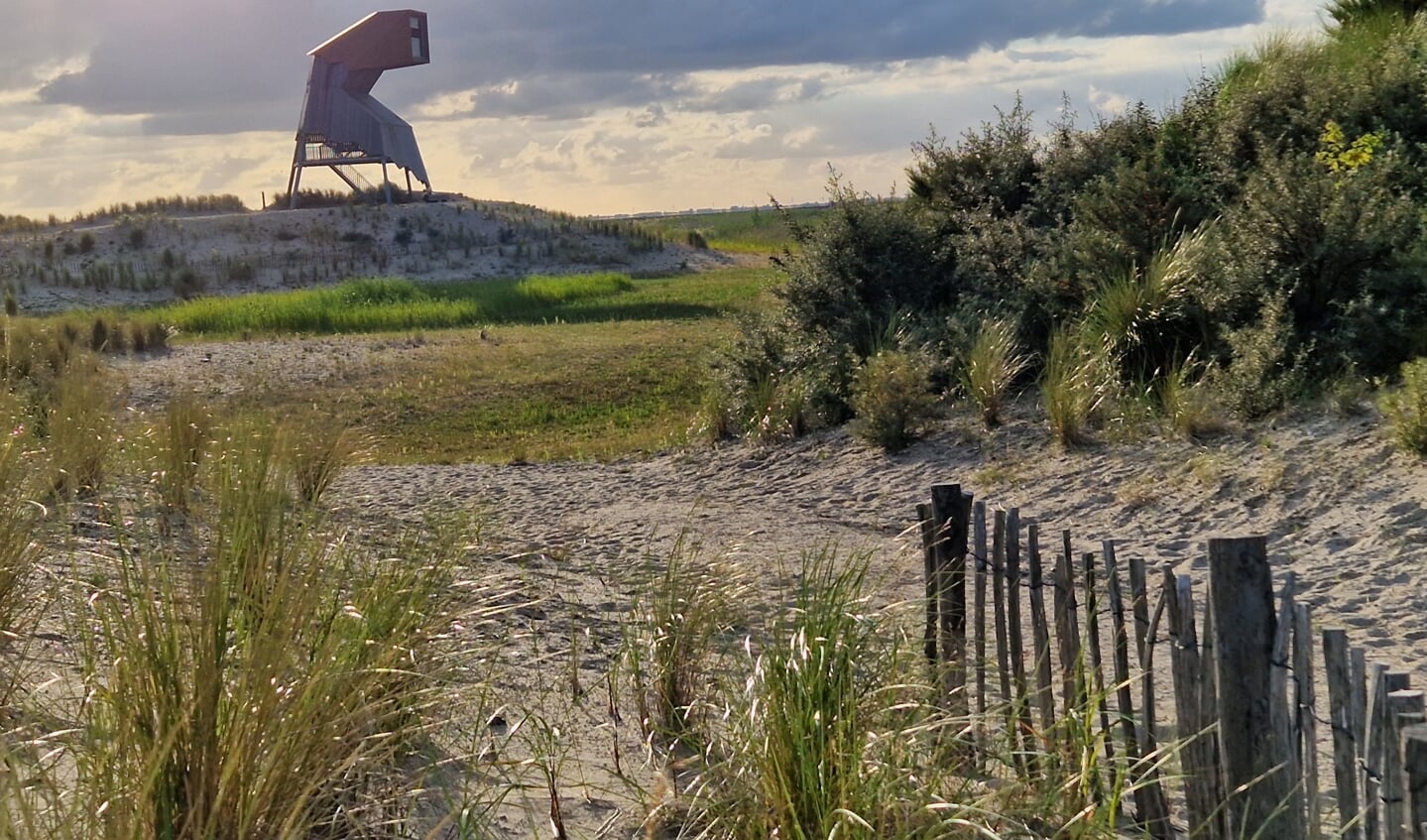 ,,De Marker Wadden 14 juli 2022. Een prachtig nieuw stukje Nederland in ontwikkeling. Op de foto de markante uitkijktoren Steltloper.
Wat een geweldige natuur; volop genieten van vakantie in Nederland!