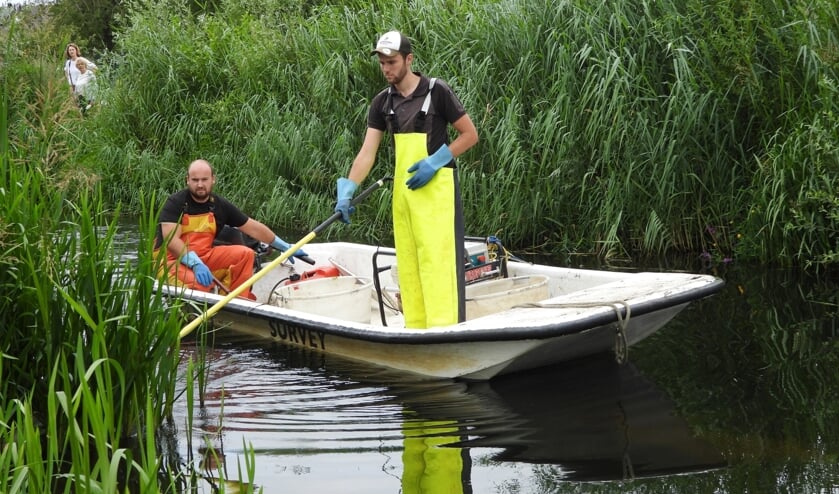 Terwijl Wouter Joosten de boot stuurt, schept Stein Honders de vissen uit het water.
