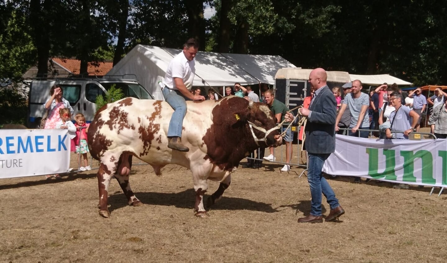 Marnix Knetemann zit op een stier van het ras Verbeterd roodbont. De Boer zoekt Vrouw-deelnemer komt ook naar Achterberg.