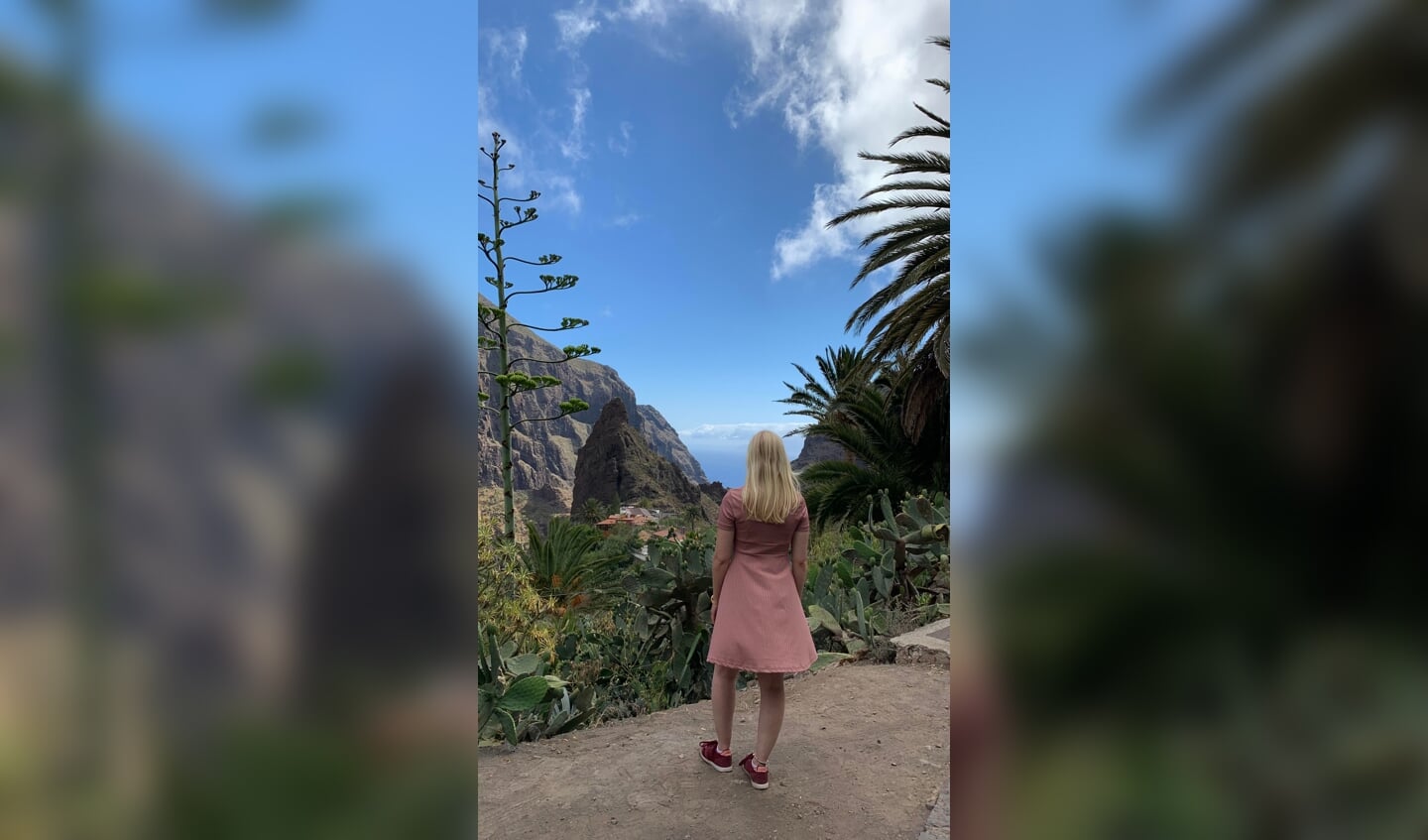 De foto is gemaakt op onze vakantie in Tenerife bij een klein bergdorpje genaamd Masca. De foto is gemaakt op 29 juni 2022. Deze foto is bijzonder, omdat het een schitterend uitzicht was!