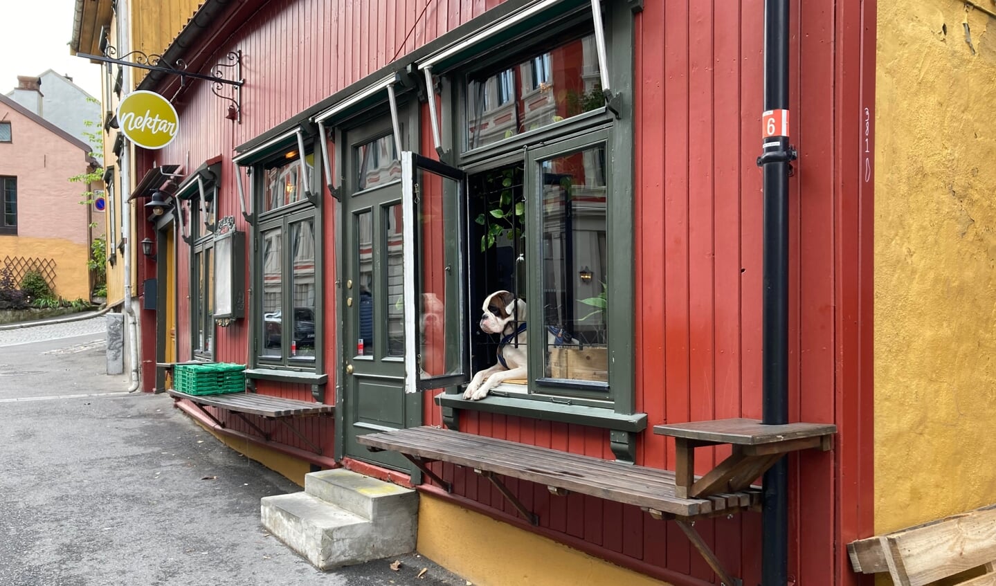 Een café in Oslo.