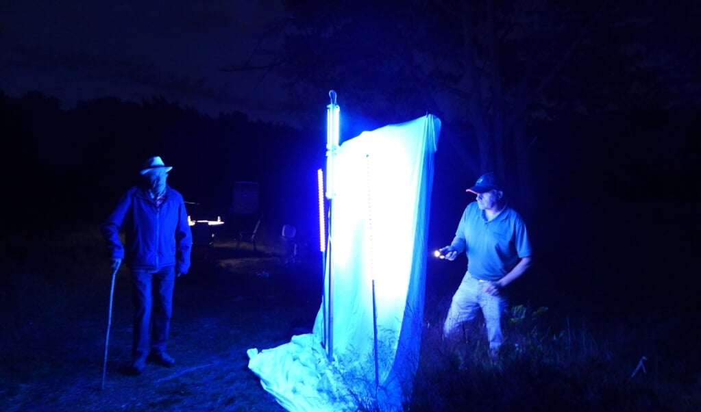 René (rechts) en Gerrit de Graaff zoeken nachtvlinders op ultraviolet verlicht laken.