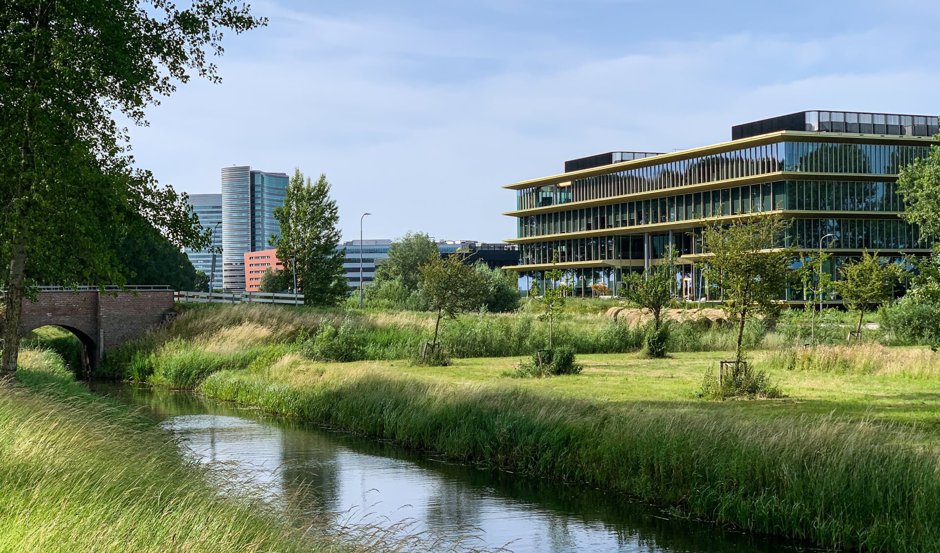 Het bedrijvenparkpark 2020 in Hoofddorp baadt in de groene weelde, prachtig verbeeld door de winnaar van deze maand Erwin Hendriks.