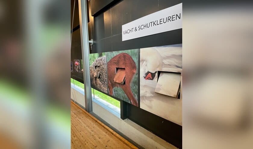 Voel de verschillende vachten en waan je tussen de dieren.