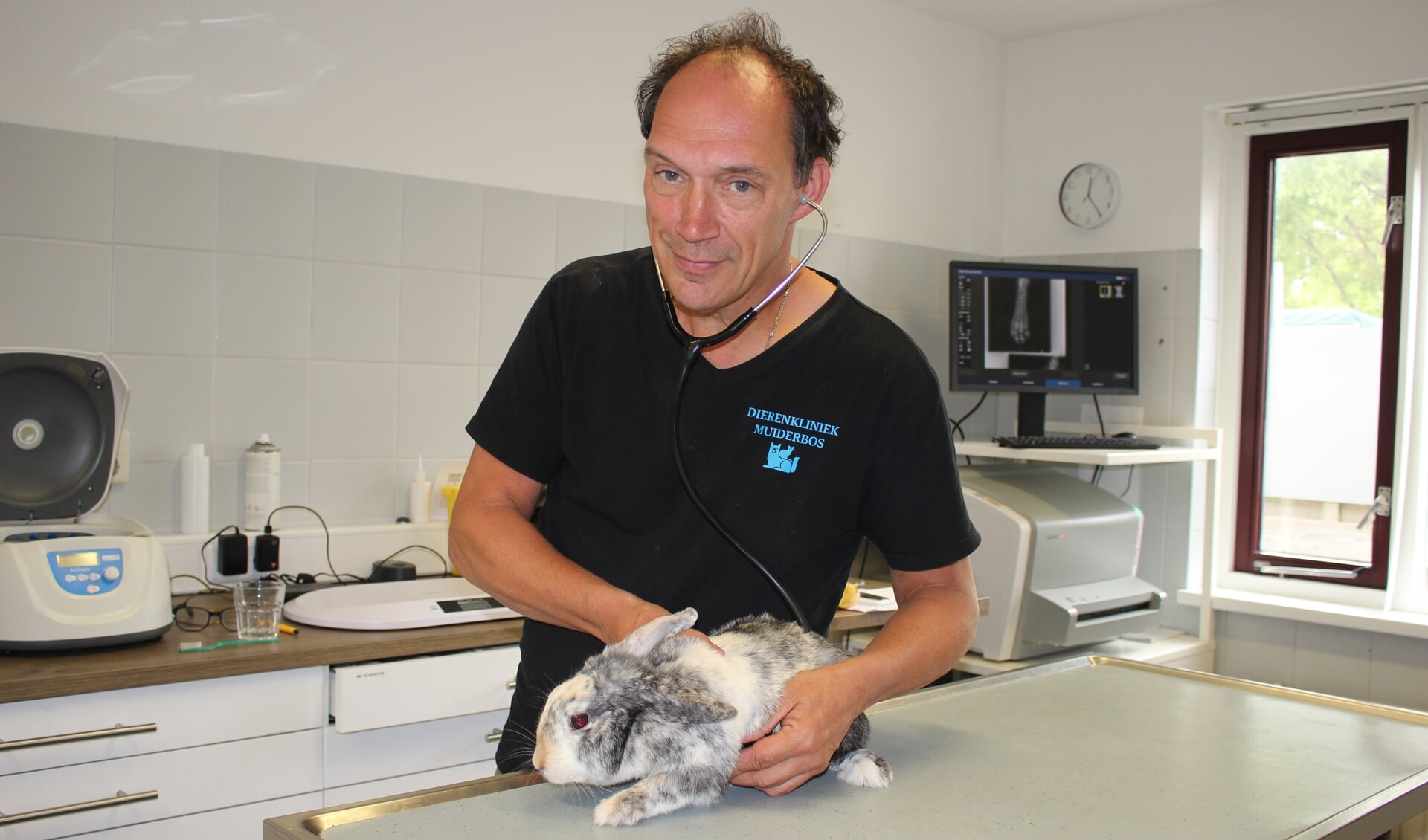 Een van de laatste konijnen die door Lodewijk Kamps wordt behandeld in Hoofddorp.