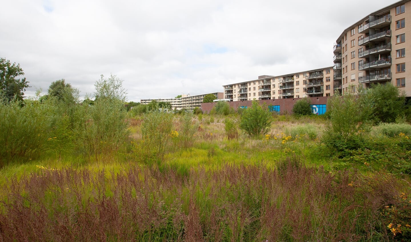 Een groepje van woningzoekers heeft de eigenaar van het Vadaterrein gevraagd mee te werken aan de tijdelijke bewoning,