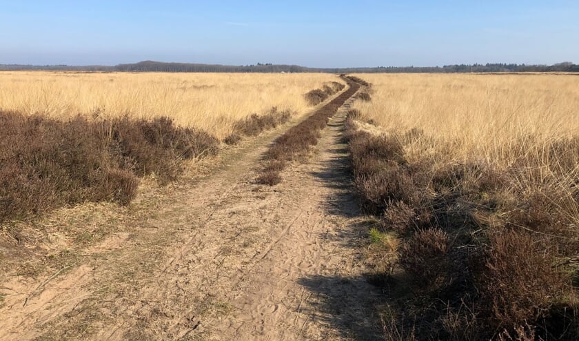 Janna Kuiper: ,,Deze foto is gemaakt tijdens een fietstocht over de hei op de Veluwe.
Ik vind de foto zo bijzonder omdat het de natuur prachtig weer geeft.