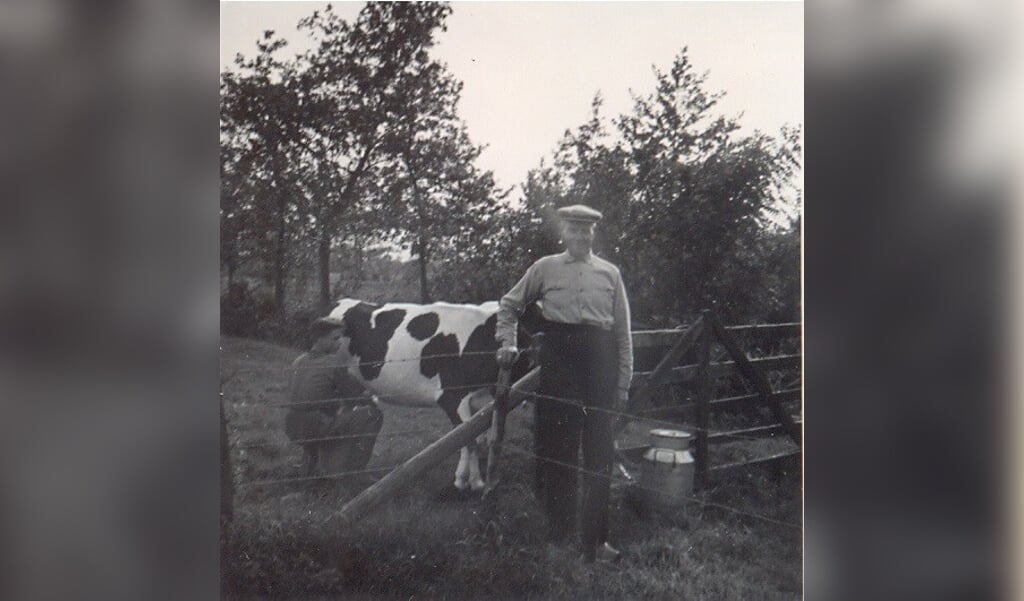 Opa Van Dasselaar, met Aart aan het melken.