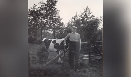Afbeelding