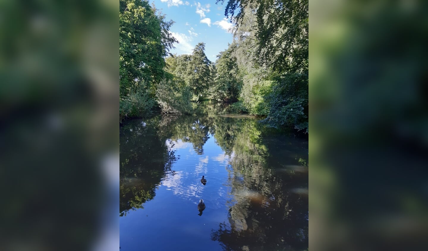 Ik, Marjan Damsma, heb deze foto afgelopen zondag 24 juli gemaakt in het Princenhofpark, hier in Leusden.

Nadat ik vorig jaar september op vakantie gevallen ben en een hele tijd niet of nauwelijks heb kunnen lopen. Ben ik nu zover dat ik met mijn wandelmaatje de rollator naar het park kan lopen en daar kon genieten van de rust en al dit moois.

Met het mooie weer hoef ik dan niet ver weg te gaan om toch een vakantiegevoel te hebben. Foto gemaakt met mijn mobiel.