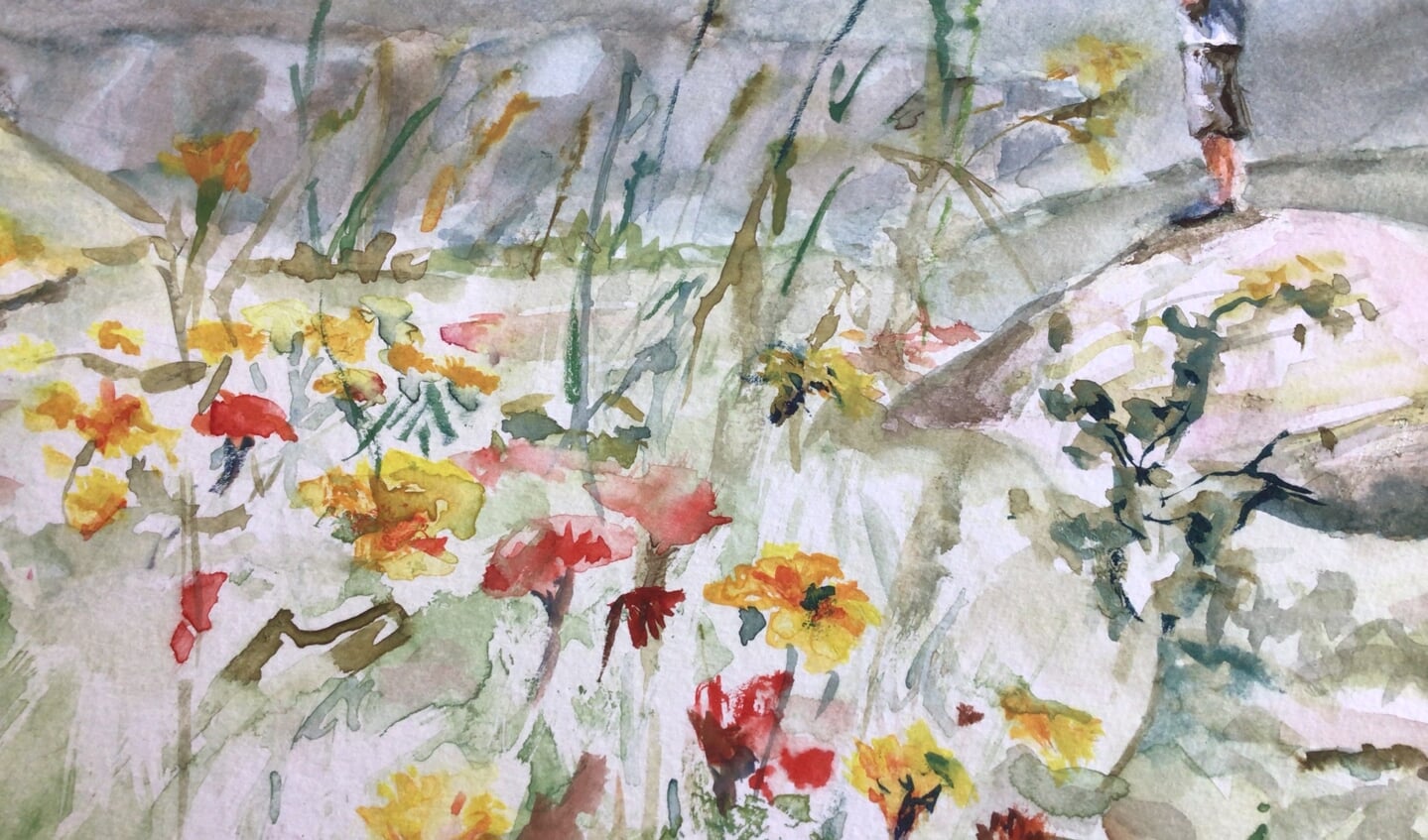 Kennismaken met aquarelleren workshop in Amersfoort