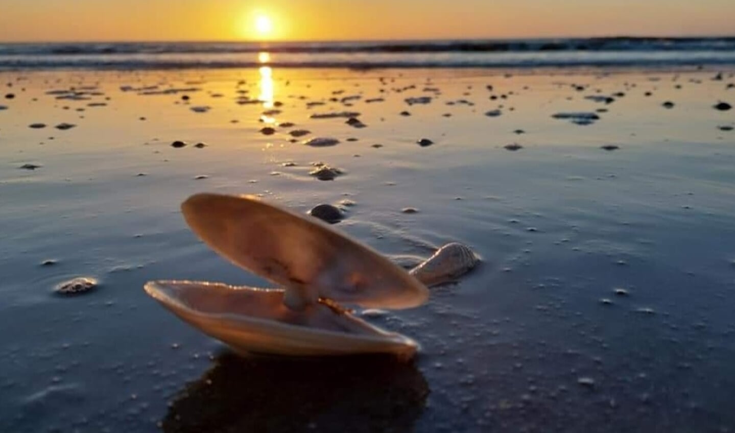 Een foto van de zonsondergang op mijn meest favoriete plek van Nederland namelijk 'het rif' op Schiermonnikoog.
Ik kan daar uren doorbrengen en genieten van zee, natuur en weer en wind. Tevens een heel bijzonder plek om de zondersondergang te bewonderen en mooie plaatjes te schieten zoals te zien is op de foto. Kortom het rif op Schiermonnikoog is een fantastische plek.  