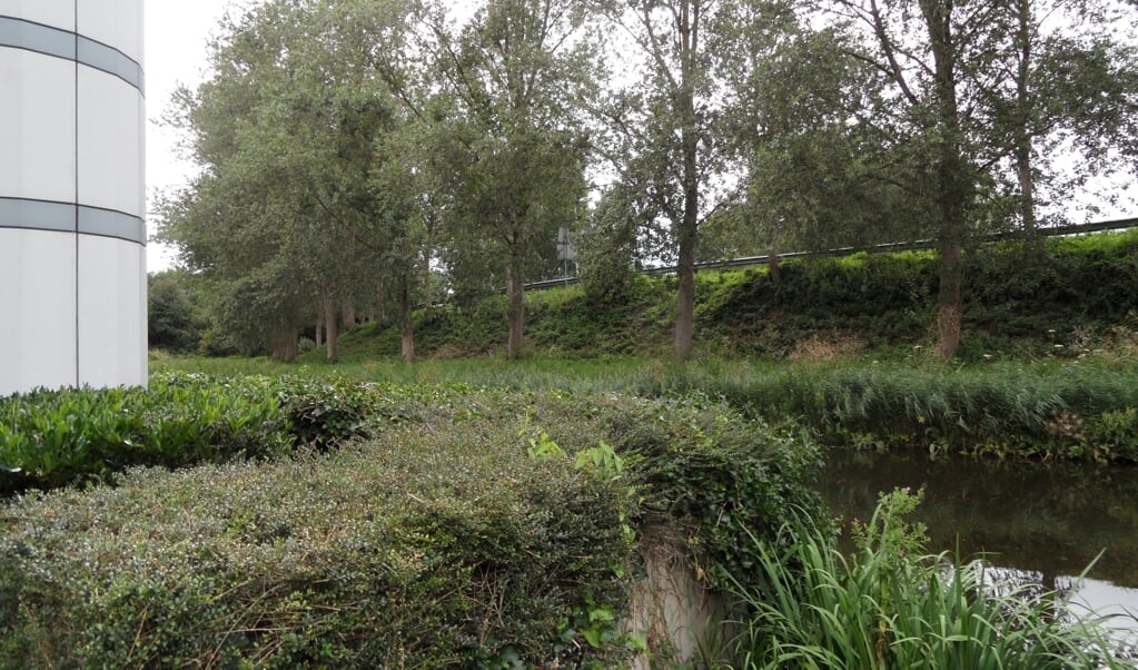 Afbeelding