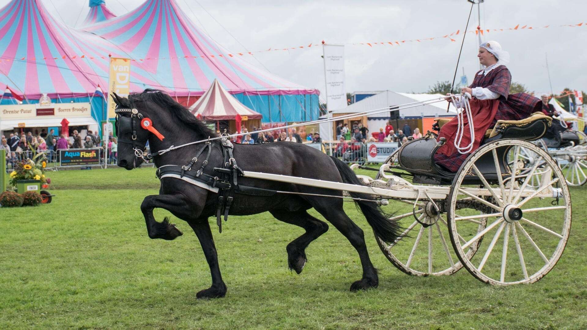 Dorpsfeest Hoogland biedt op zaterdag en zondag paardensport, 's avonds staan er bekende artiesten in de feesttent.
