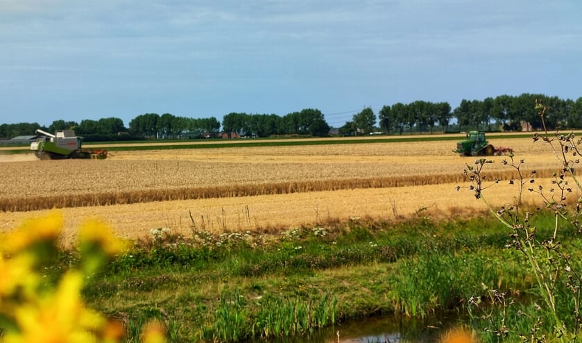 Haarlemmermeer is zeker in het zuiden nog een agrarische gemeente, zo laat Kees de Joode zien.  