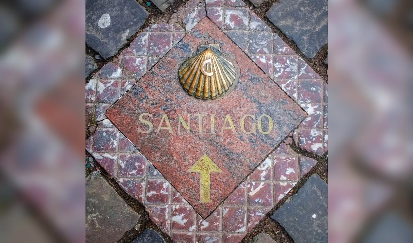 Fietstocht naar Santiago de Compostella