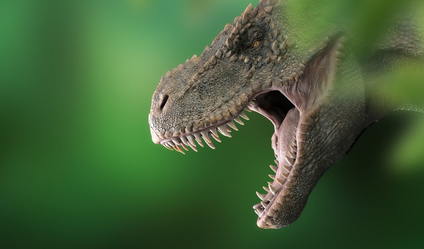 In het Pieter Vermeulen Museum is nu een dino tentoonstelling aan de gang, maar ook diverse (kinder) activiteiten.