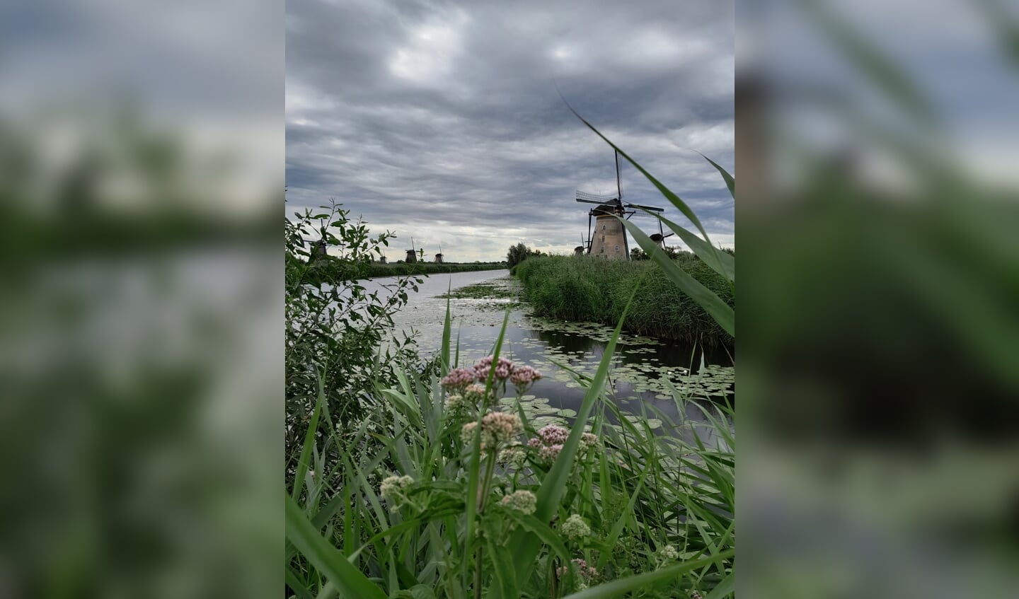 ,,'Denkend aan Holland...' Genoten van prachtig natuurschoon en molens in Kinderdijk.