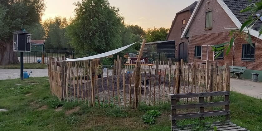 Ook de konijnen kunnen lekker in de schaduw liggen