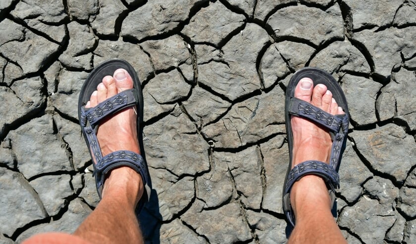Droogte op 29 juni 2022. Ik sta met mijn voeten op de toen al zeer droge grond in de Camargue in zuid Frankrijk. Kenmerkend voor de zomer van dit jaar. 
