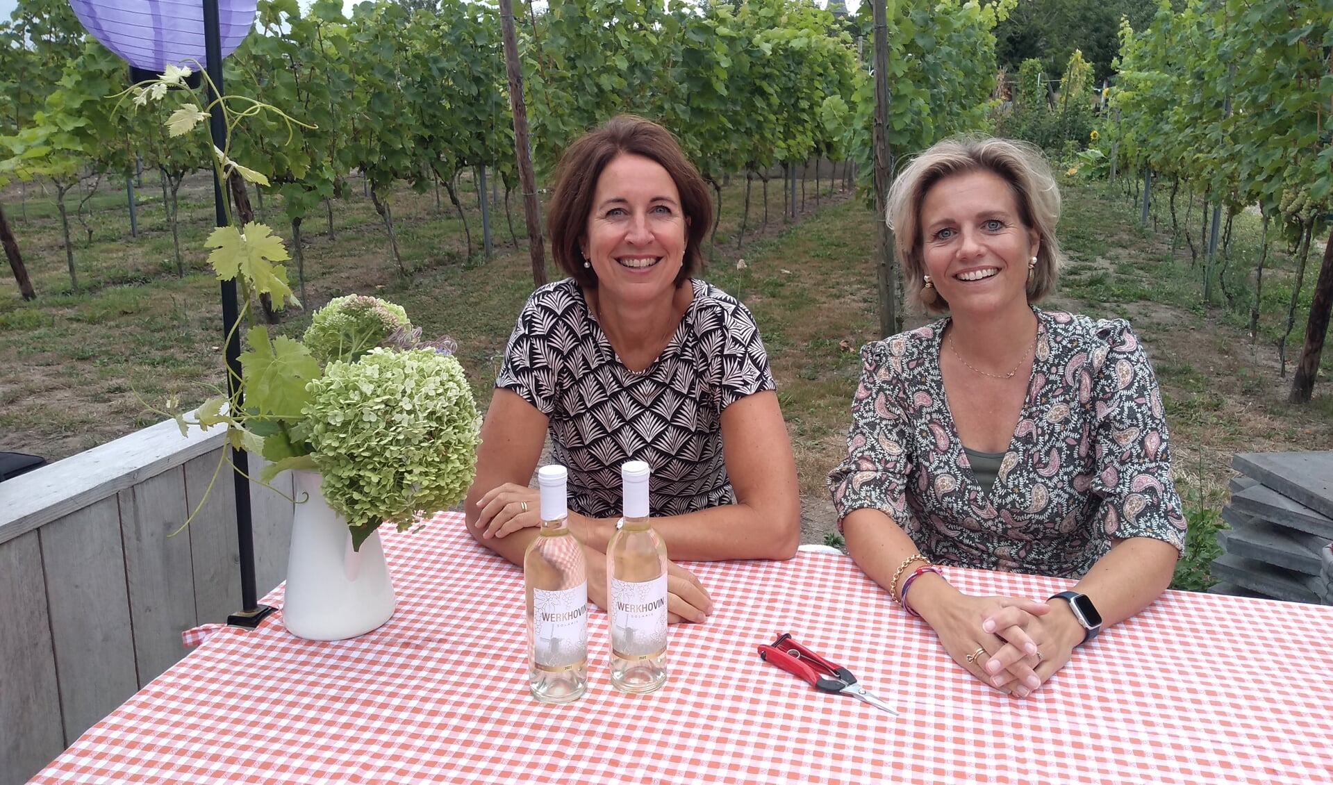 Antoinette Spaan en Sandra Jordens verbouwen hun eigen druiven voor de Werkhovense wijn.