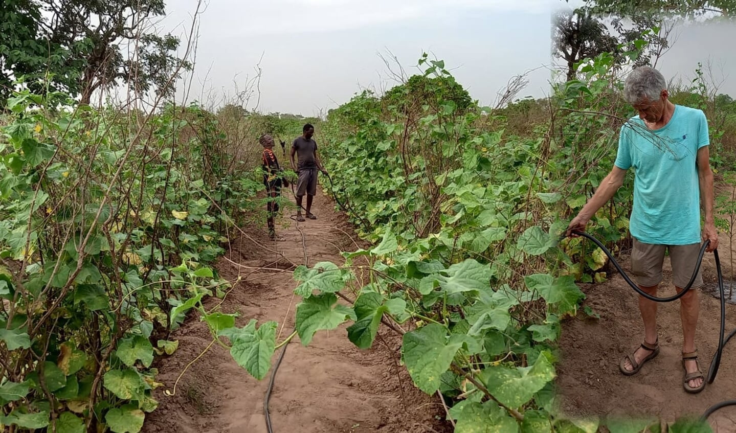 Nic van der Riet (rechts) op de biologische boerderij in Gambia. die draaiende wordt gehouden door jonge Gambiaanse boeren
