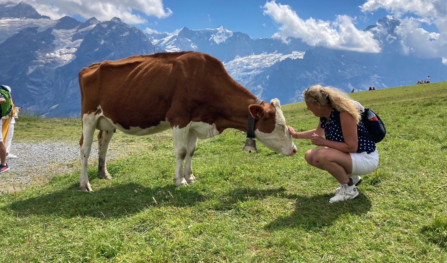 ,,Deze foto is genomen in Grindelwald in Zwitserland op 1 augustus. Vooral mooi met de bergen en wolken op de achtergrond. Op de foto zien jullie mij, Astrid Willemsen (een boerendochter!) uit Maarn, en een echte Grindelwaldse koe.