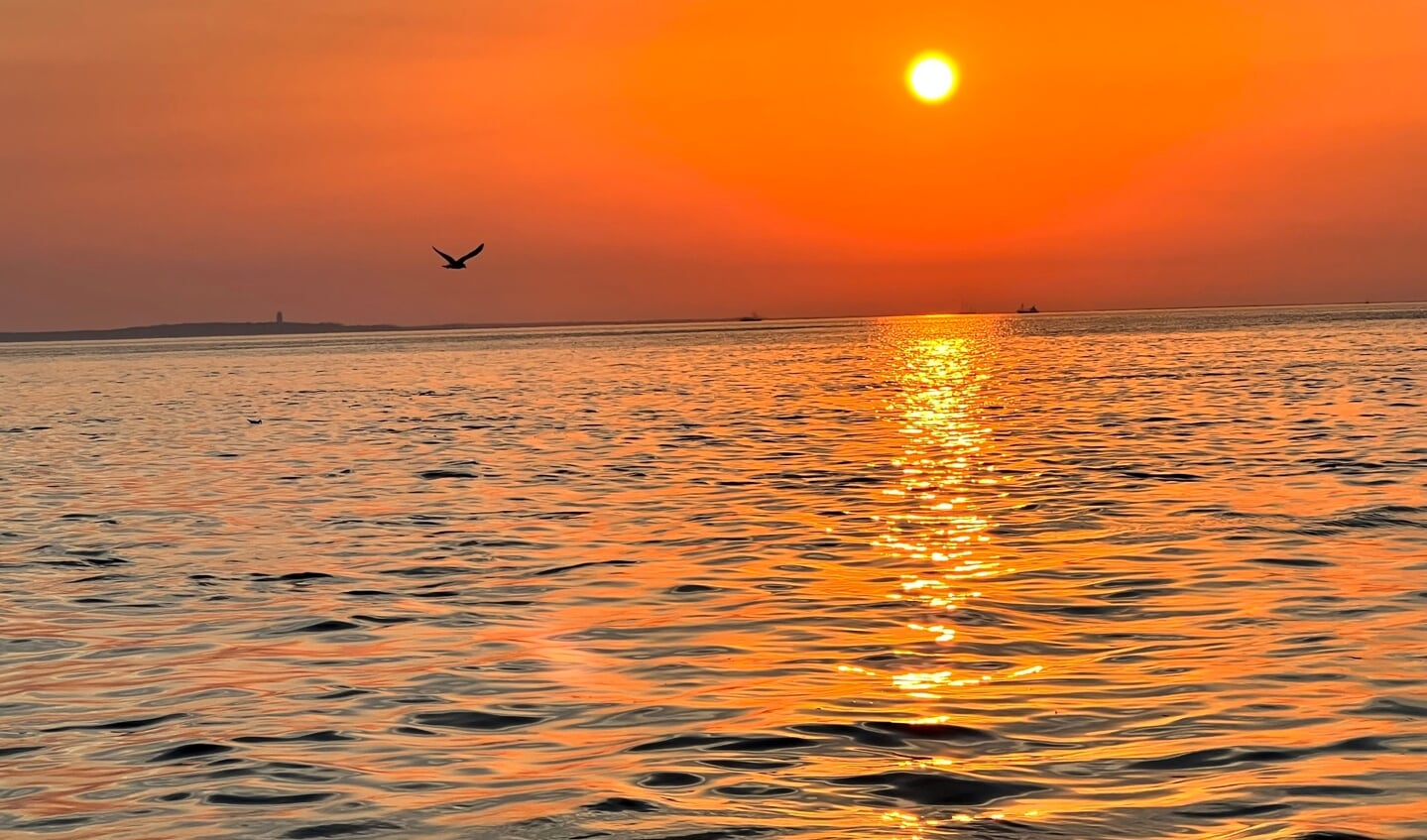 'De zon gaat op bij Terschelling in de Waddenzee. 6.00 ‘s ochtends, het is nog stil op het water en er vliegen enkele vroege vogels voorbij. Langzaam lijkt de natuur ook wakker te worden…'