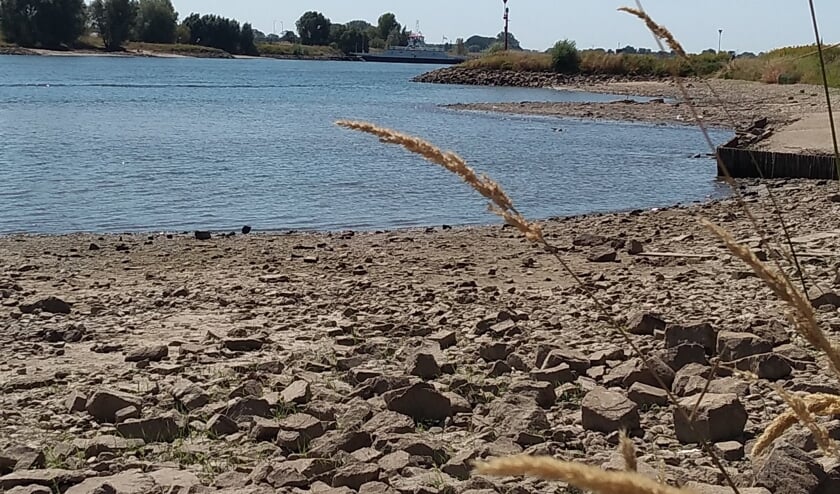 Weinig water in Nederrijn en Lek