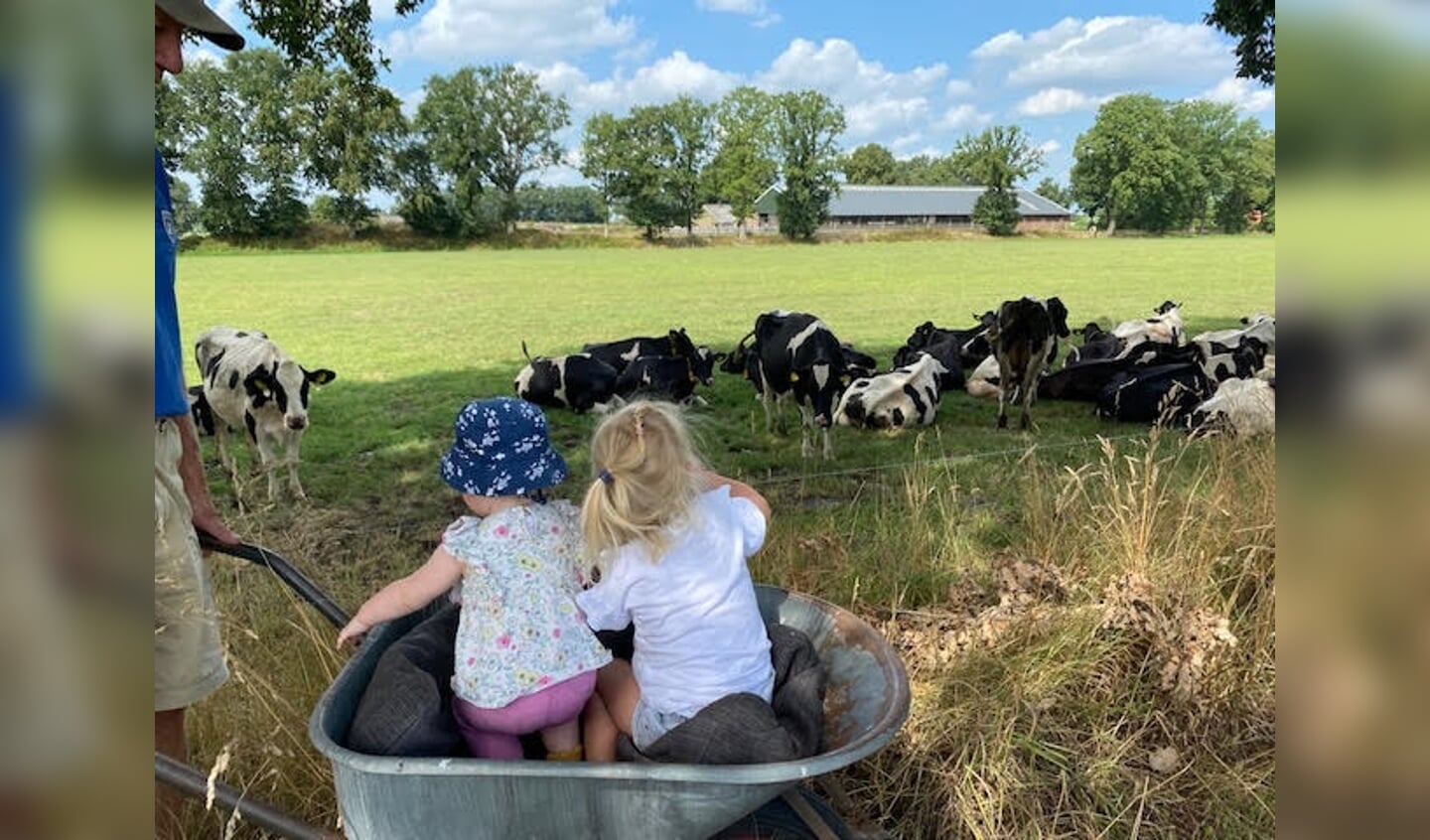 'Achterveld nog blij met koeien in het land.'