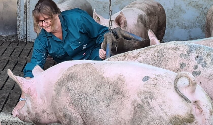 Varkensboerin in hart en ziel. Jannie Bos vertroetelt haar dieren graag.