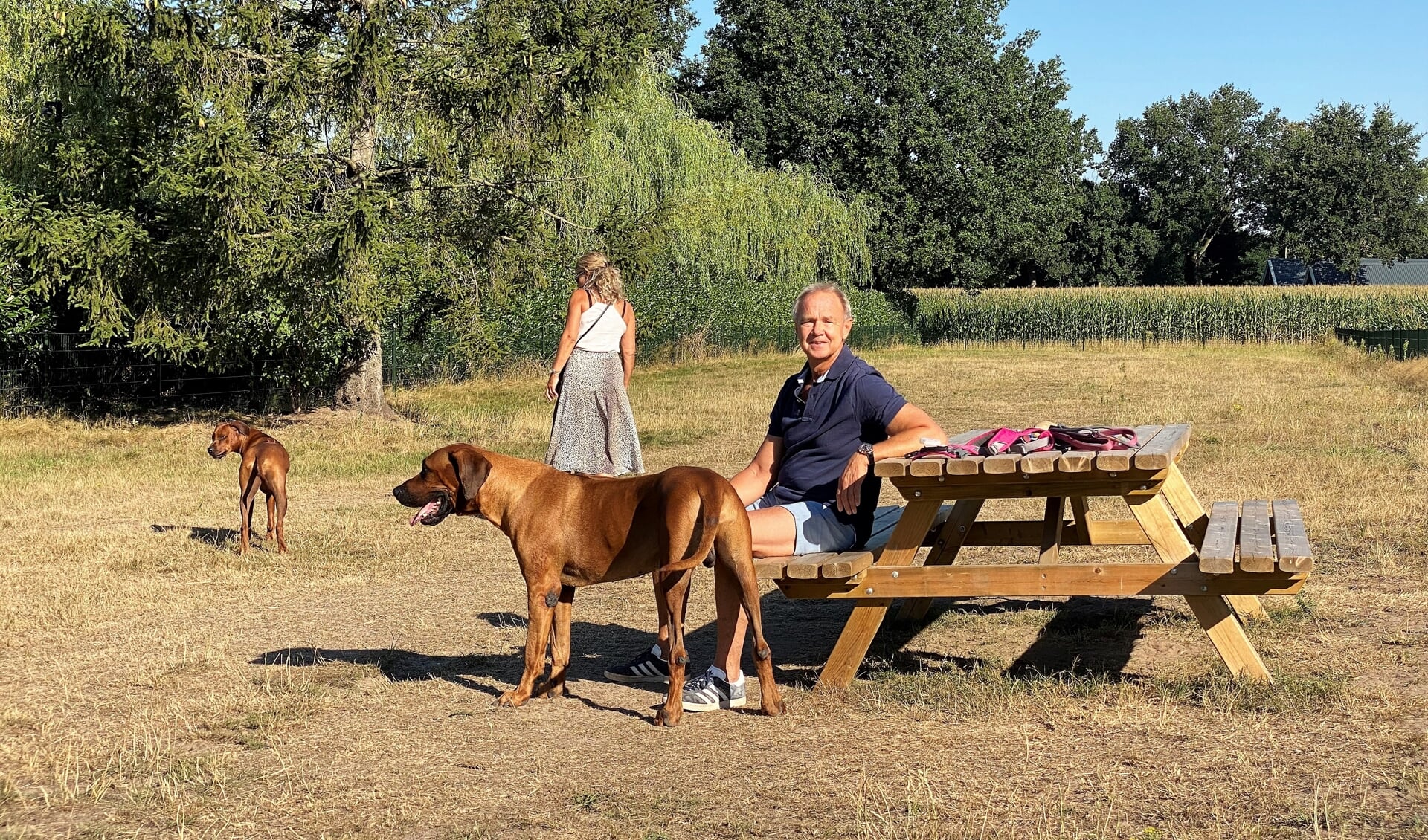 Roel Dagevos kan met zijn twee honden nu nog genieten op 'het hondenveldje'. De vraag is wel: 'Blijft dat zo?'. 