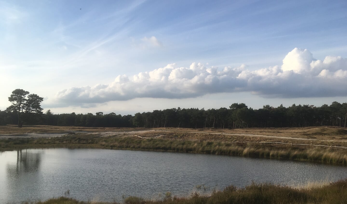 ,,Een van mijn favoriete plekjes op Bornia / Groot Heidestein, op de zandheuvel bij het bosmeertje. De zwaluwen scheerden die dag telkens over het water om insectjes te vangen.