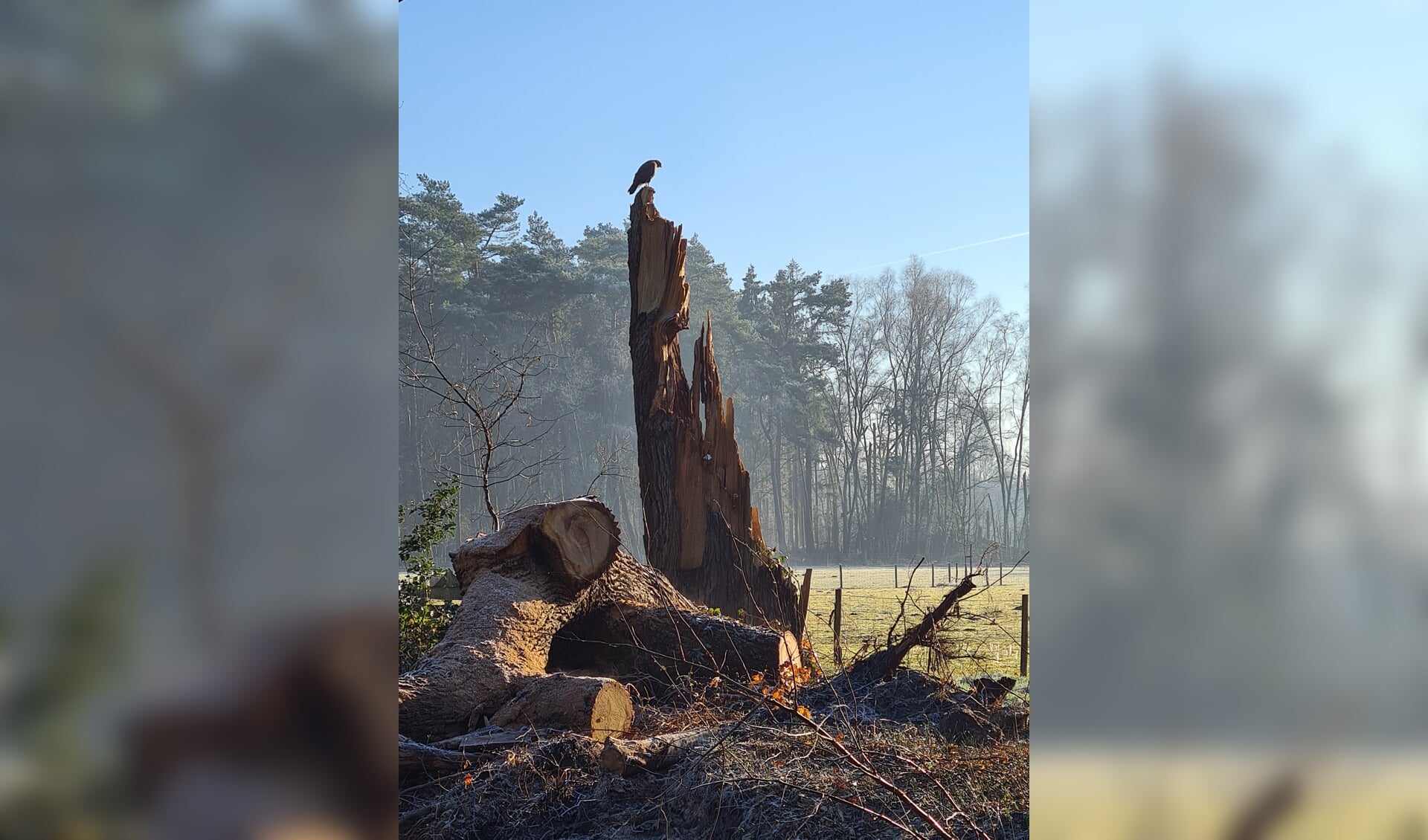 hoe houden we ons staande in de stormen op de heuvelrug