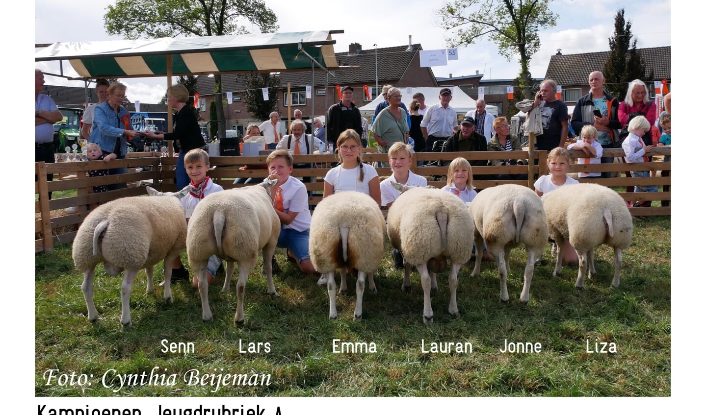 Kampioenen Jeugdrubriek A.