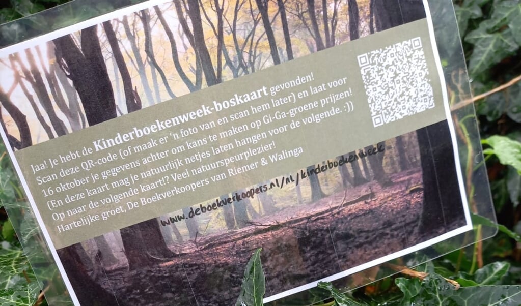 De boskaart die De Boekverkoopers van Riemer & Walinga in de natuur hebben verstopt als onderdeel van de speurtocht. 