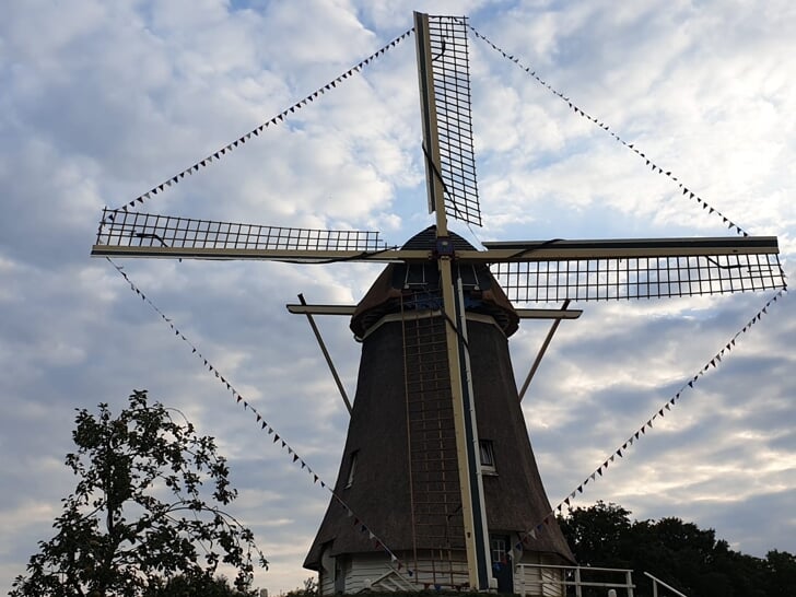Afbeelding