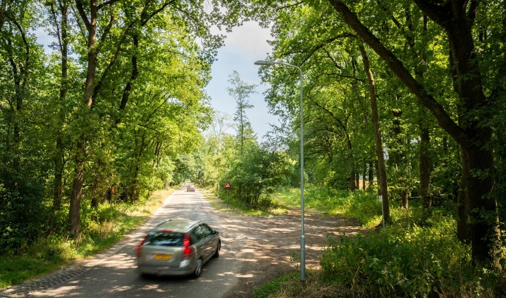 De Asselseweg in het buitengebied van Kootwijk.