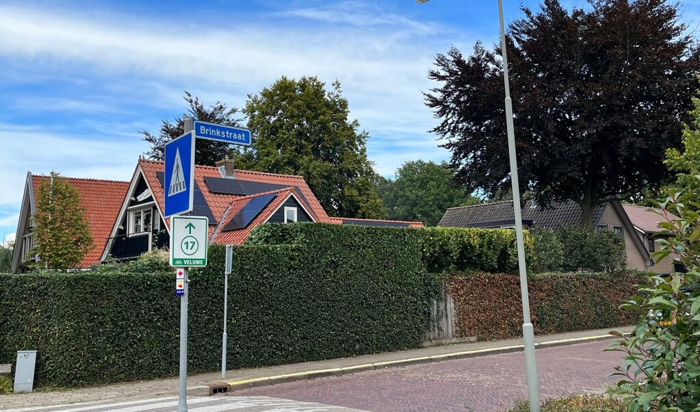 De Brinkstraat in Putten.