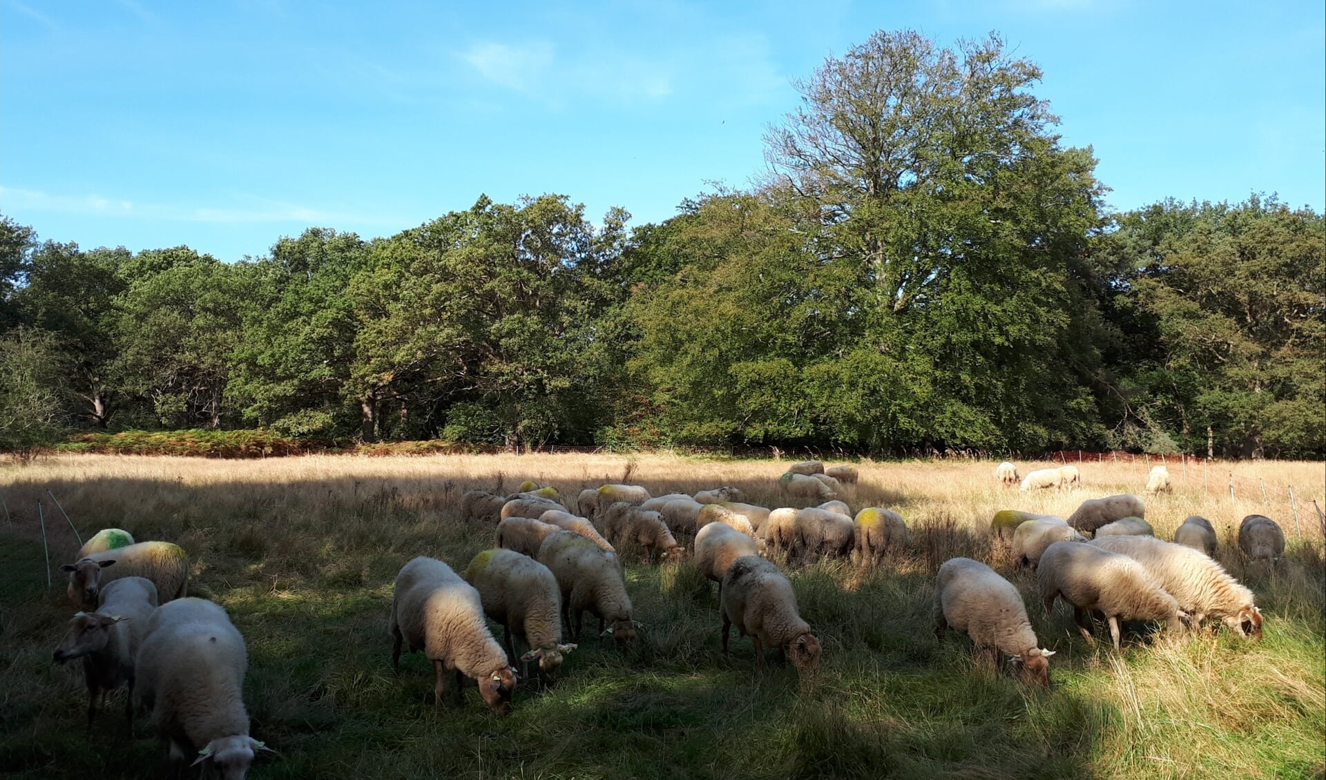 Gasten op Buitenplaats Leyduin.