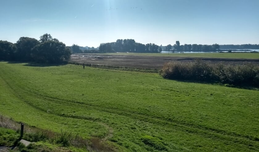 Uitzicht op de uiterwaarden langs de rivier vanaf de uitkijkpost