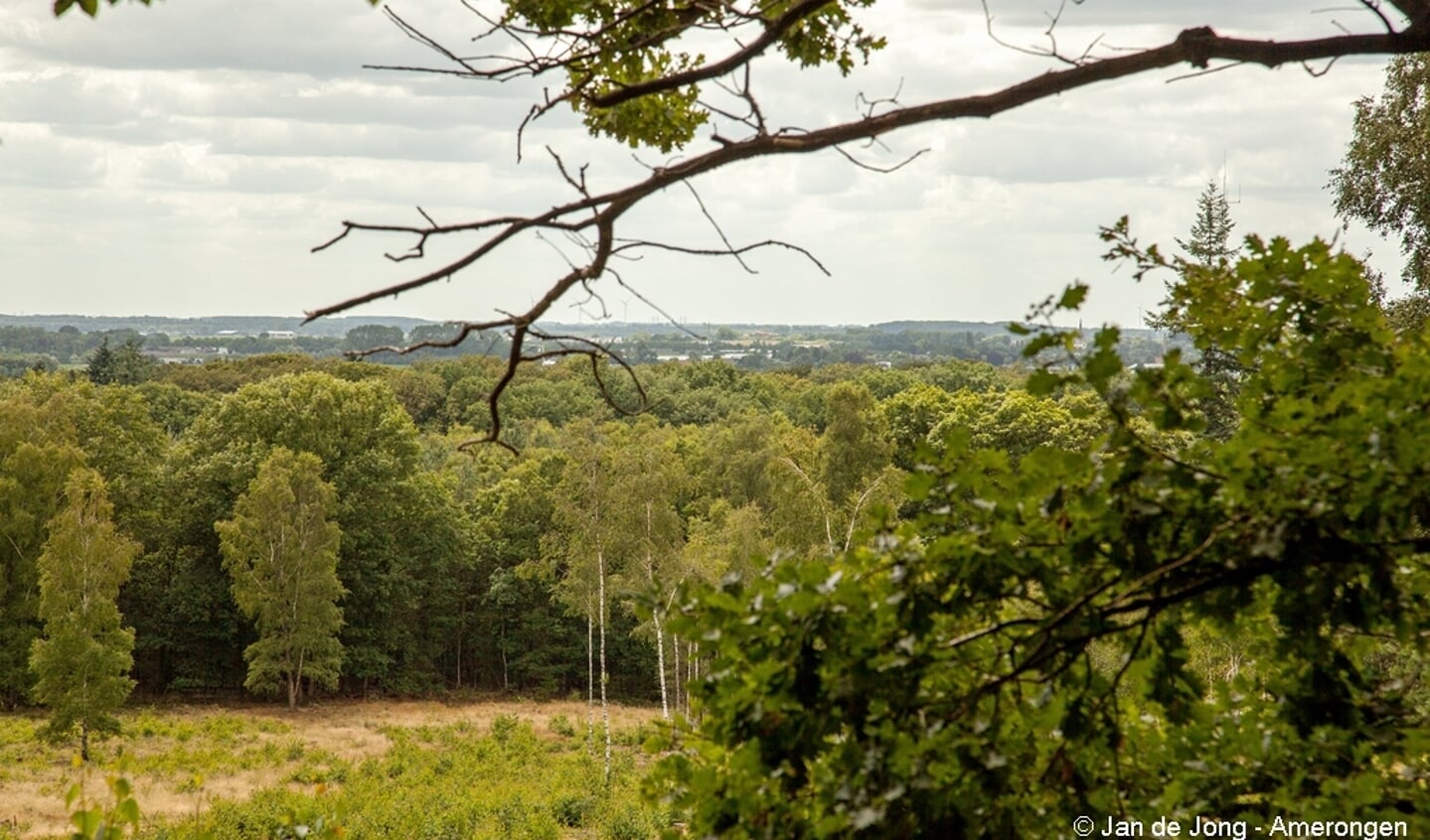 Uitzicht over de Betuwe vanaf de Amerongse Berg
