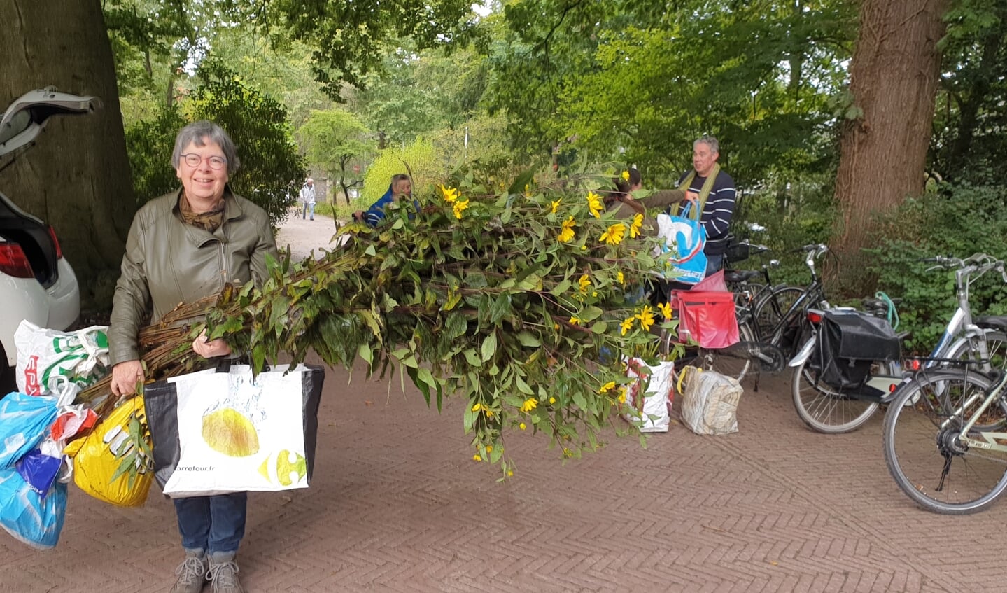 Zet je tuin vol met gratis stekken