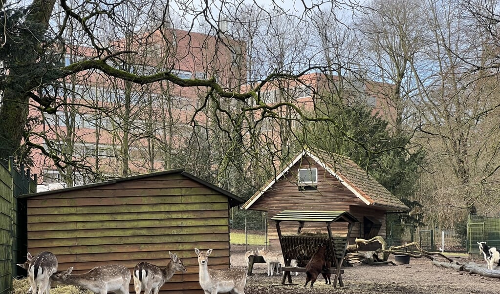 Het hertenkamp in het Maarschalksbos.